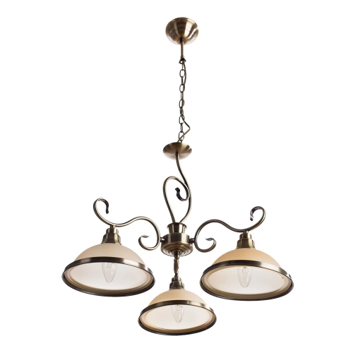 Купить Подвесная люстра Arte Lamp SAFARI A6905LM-3AB