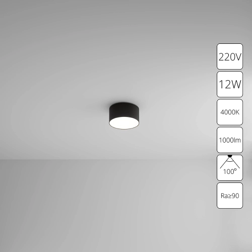 Купить Потолочный светильник Arte Lamp FADO A6612PL-1BK
