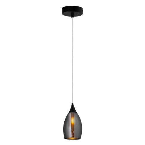 Купить Подвесной светильник Arte Lamp BARRY A7951SP-1BK