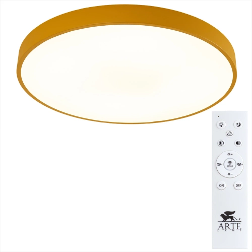 Купить Потолочный светильник Arte Lamp ARENA A2661PL-1YL