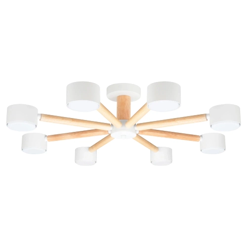 Купить Потолочная люстра Arte Lamp TENDA A1624PL-8WH