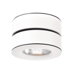 Точечный накладной светильник Arte Lamp VELA A2511PL-1WH