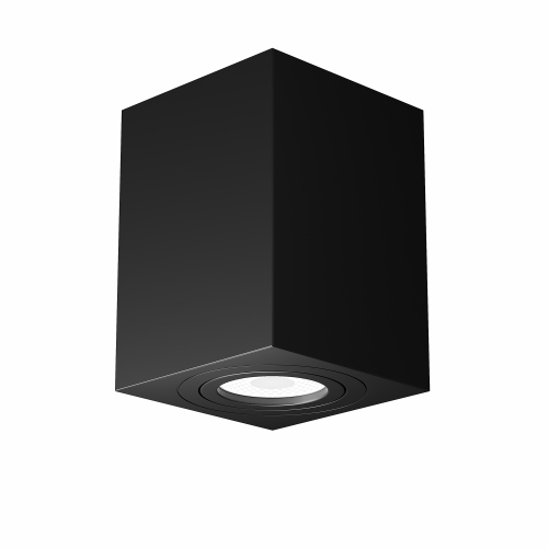 Купить Потолочный светильник Technical C017CL-01B