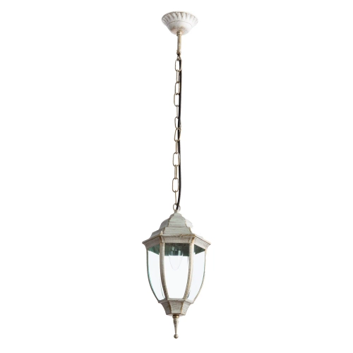 Купить Уличный подвесной светильник Arte Lamp PEGASUS A3151SO-1WG