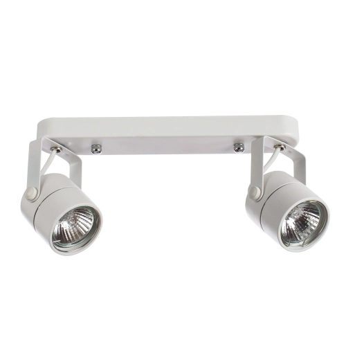 Купить Спот Arte Lamp LENTE A1310PL-2WH