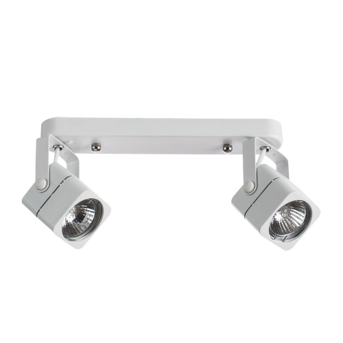 Купить Спот Arte Lamp LENTE A1314PL-2WH