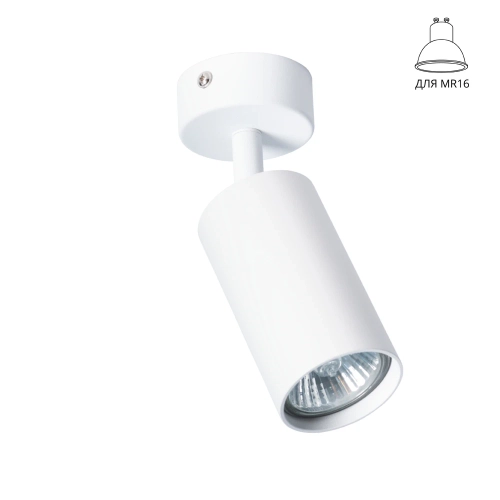 Купить Спот Arte Lamp AQUARIUS A3216PL-1WH