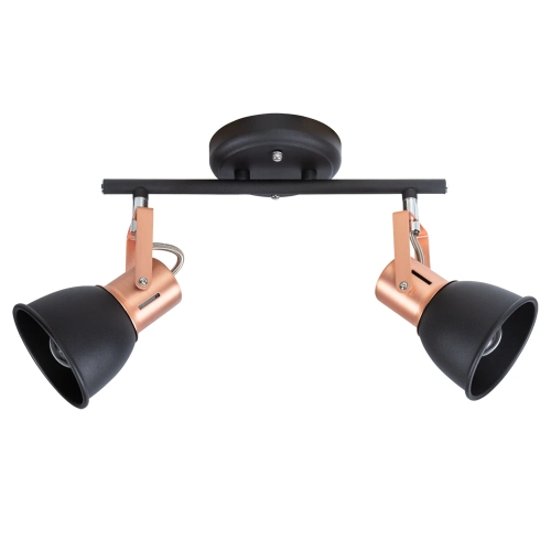 Купить Спот Arte Lamp JOVI A1677PL-2BK