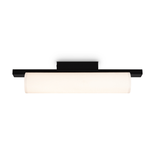 Купить Потолочный светильник Freya FR5625CL-L20B