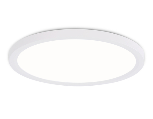 Купить FZ1907 WH белый IP54 35W 3000K-6500K CCT-переключатель D450*25 (Без ПДУ)
