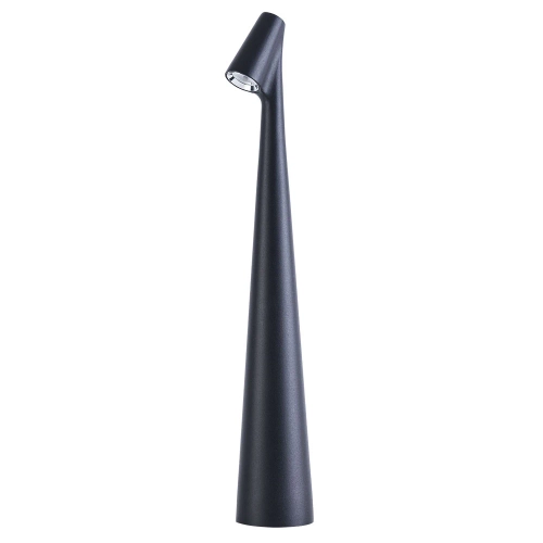 Купить Декоративная настольная лампа Arte Lamp FUSION A3283LT-2BK