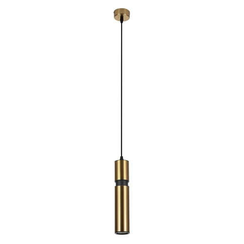 Купить Точечный подвесной светильник ARTE LAMP RAN A3145SP-1PB
