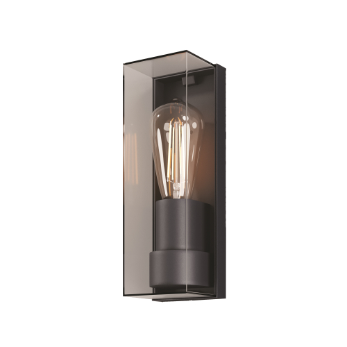 Купить Уличный настенный светильник Outdoor O450WL-01GF