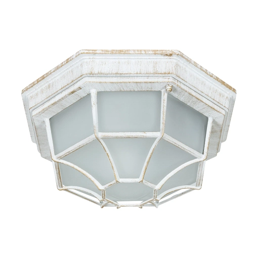 Купить Уличный потолочный светильник Arte Lamp PEGASUS A3121PF-1WG