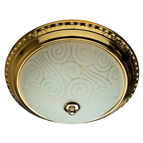 Купить Потолочный светильник Arte Lamp ALTA A3013PL-2GO