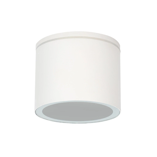 Купить Уличный потолочный светильник Arte Lamp PIAUTOS A1913PF-1WH