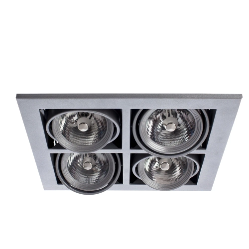 Купить Карданный светильник Arte Lamp CARDANI MEDIO A5930PL-4SI
