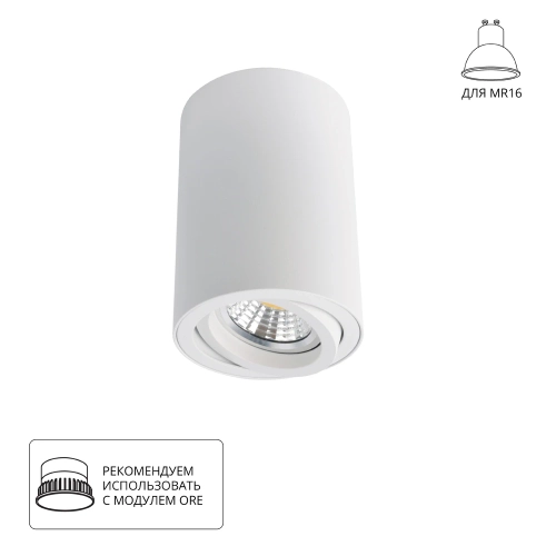 Купить Точечный накладной светильник Arte Lamp SENTRY A1560PL-1WH
