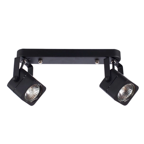 Купить Спот Arte Lamp LENTE A1314PL-2BK