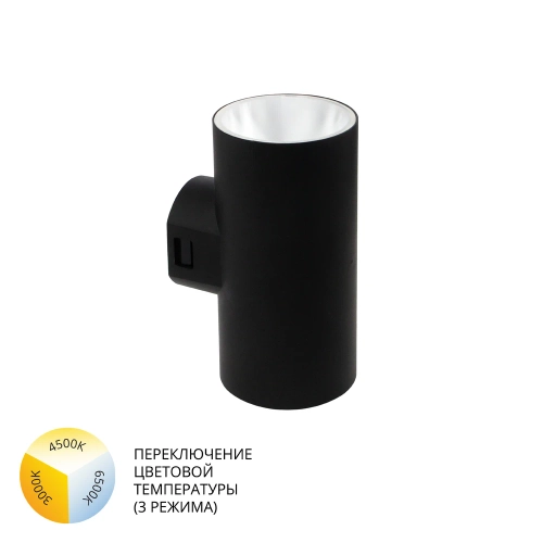 Купить Фасадный светильник Arte Lamp ALCYONE A6109AL-2BK