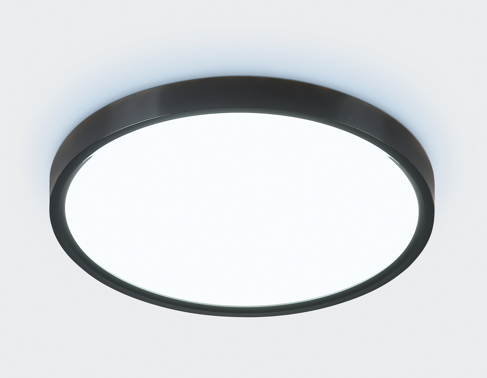 FZ3050 BK черный IP44 24W+10W 6400+6400К D300*40 (Без ПДУ)