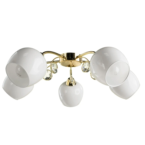 Купить Потолочная люстра Arte Lamp MILLO A9549PL-5GO