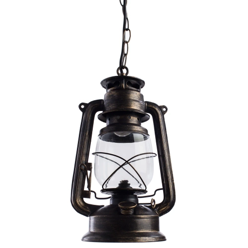 Купить Подвесной светильник Arte Lamp GAMBRINUS A3843SP-1BG