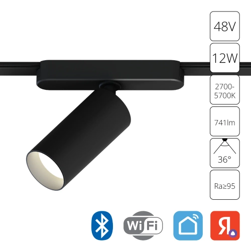 Купить Магнитный трековый светильник Arte Lamp RAPID SMART A2958PL-1BK