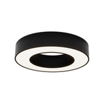 Потолочный светильник Technical C093CL-24W4K-B