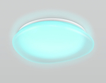 FZ1610 FR матовый IP20 40W 3000-6500K+RGB 410*100 (ПДУ ИК)
