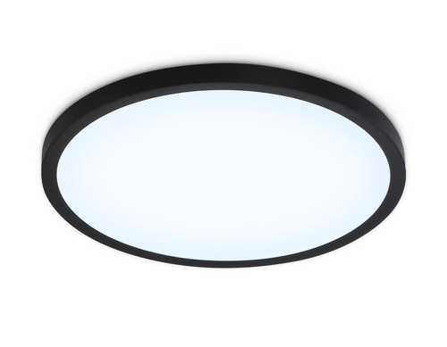 Купить FZ1961 BK черный IP54 40W 5000K D470*15 (Без ПДУ)