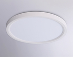 FZ1903 WH белый IP54 20W 3000K-6500K CCT-переключатель D300*25 (Без ПДУ)