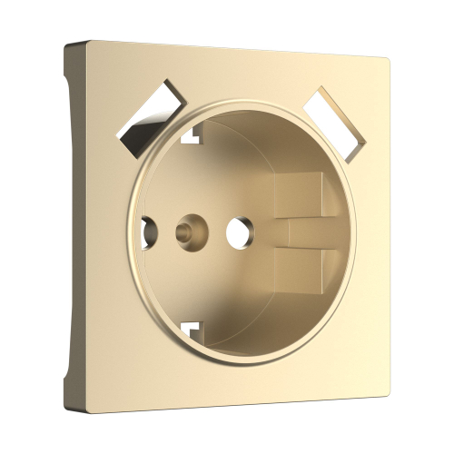Купить Накладка для USB розетки (шампань) W1179511