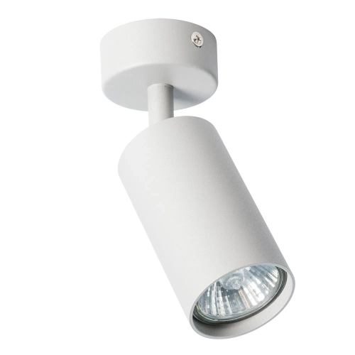 Купить Спот Arte Lamp AQUARIUS A3216PL-1GY