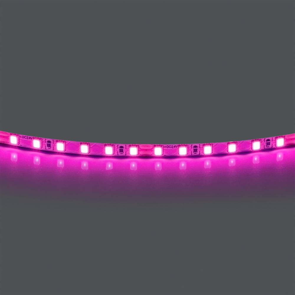 420512 Лента LIGHTSTAR LED 24V 12W 120leds/M 1600 LM/M розовый IP20 1шт = 5м