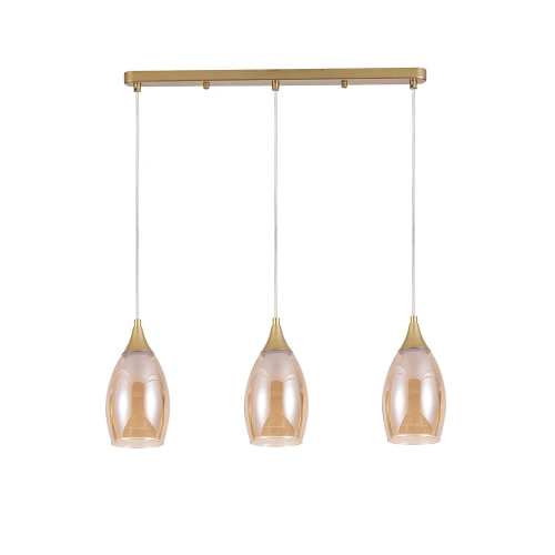 Купить Подвесной светильник Arte Lamp BARRY A7951SP-3GO