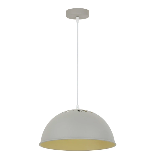 Купить Подвесной светильник Arte Lamp BURATTO A8173SP-1GY