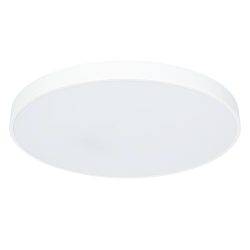 Купить Потолочный светильник Arte Lamp ARENA A2671PL-1WH