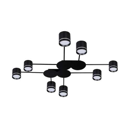 Купить Потолочная люстра Arte Lamp LEGACY A8024PL-8BK
