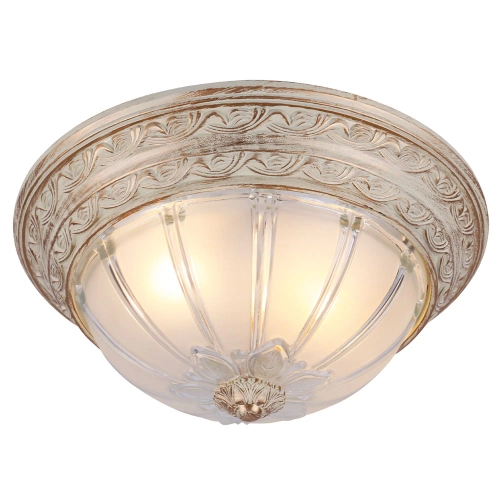 Купить Потолочный светильник Arte Lamp PIATTI A8014PL-2WA