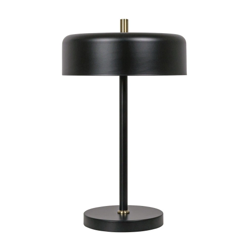 Купить Декоративная настольная лампа Arte Lamp SKAT A7052LT-2BK