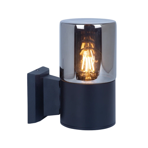 Купить Уличный настенный светильник Arte Lamp WAZN A6218AL-1BK