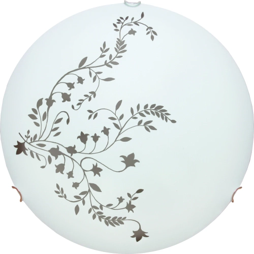 Купить Потолочный светильник Arte Lamp ORNAMENT A3820PL-2CC