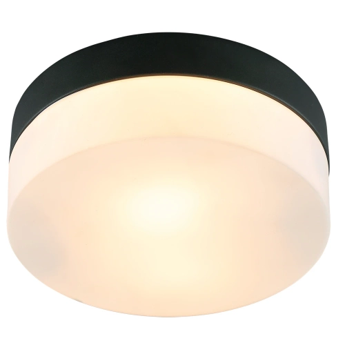 Купить Потолочный светильник Arte Lamp AQUA-TABLET A6047PL-1BK