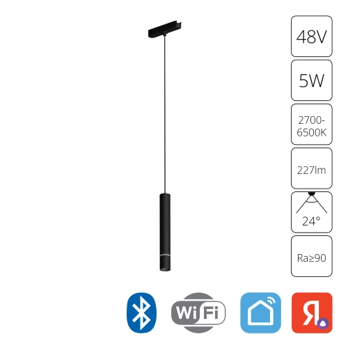 Купить Магнитный трековый светильник Arte Lamp RAPID SMART A2959PL-1BK