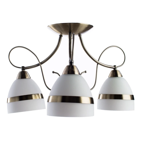 Купить Потолочная люстра Arte Lamp NOEMI A6192PL-3AB