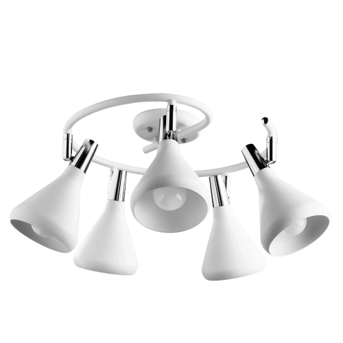Купить Спот Arte Lamp CICLONE A9155PL-5WH