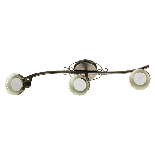 Купить Спот Arte Lamp FOCUS A5219PL-3BR