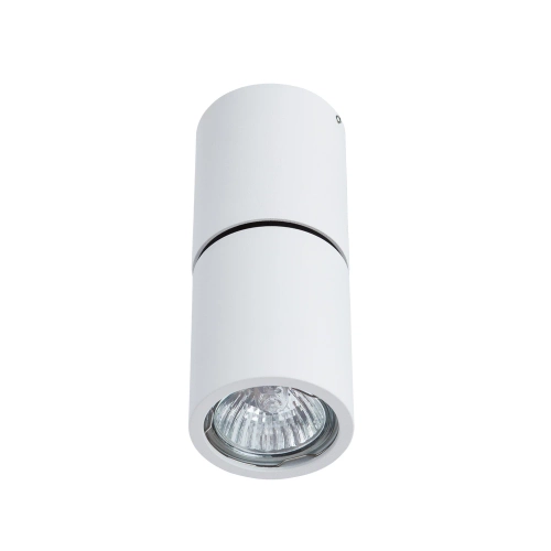 Купить Спот Divinare GAVROCHE POSTO 1800/03 PL-1