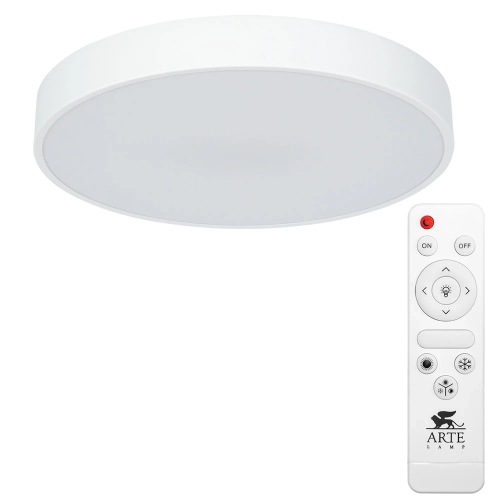 Купить Потолочный светильник Arte Lamp ARENA A2661PL-1WH